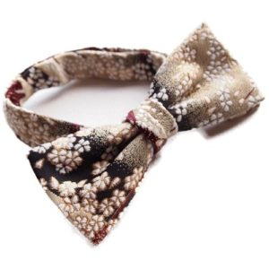 bowtie-10